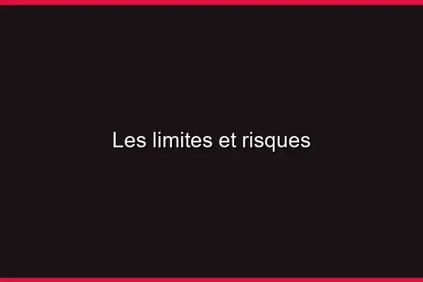 Les limites et risques