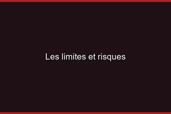 Les limites et risques
