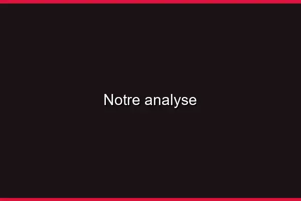 Notre analyse